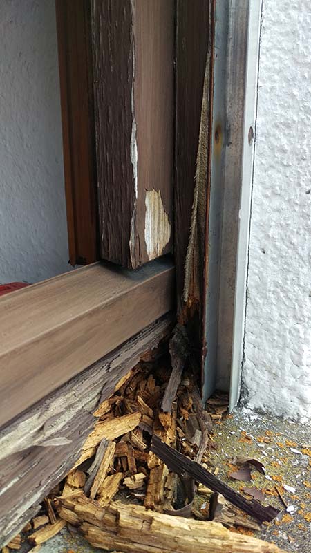 morsches Rahmenholz bei Fenster und Türe reparieren